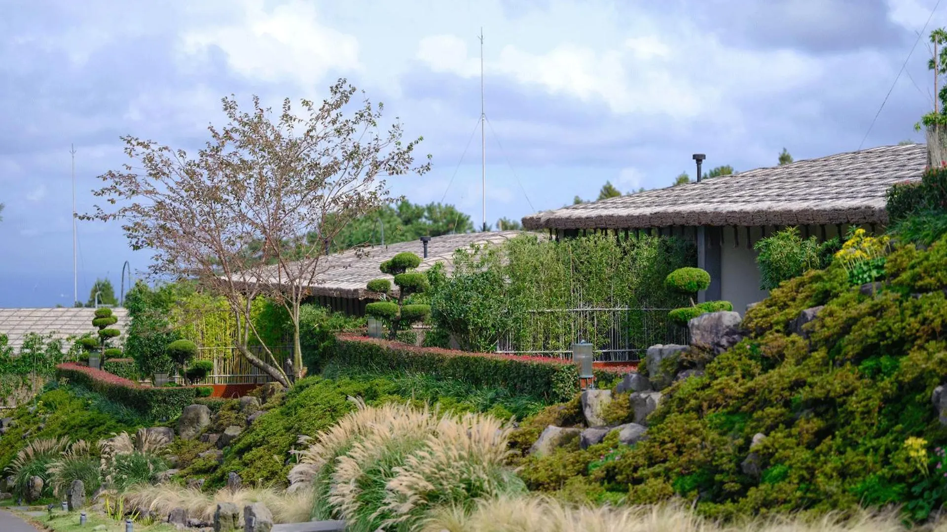 *****  Amber Pure Hill Hotels & Resorts Jeju Sydkorea