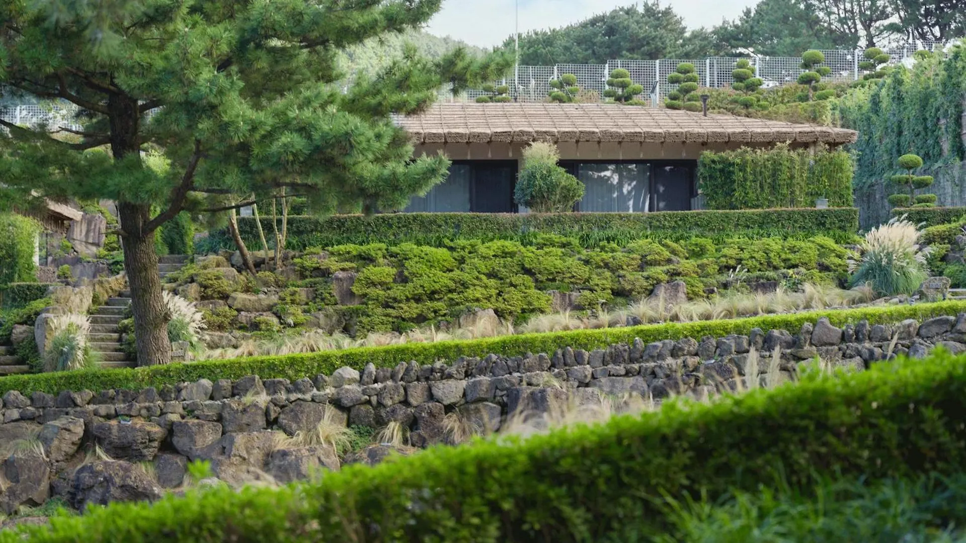Amber Pure Hill Hotels & Resorts Jeju 5*,