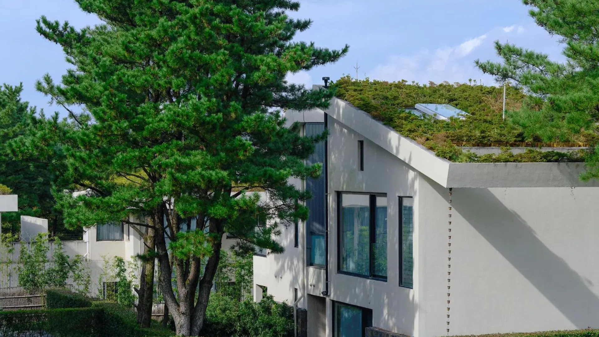 Amber Pure Hill Hotels & Resorts Чеджудо